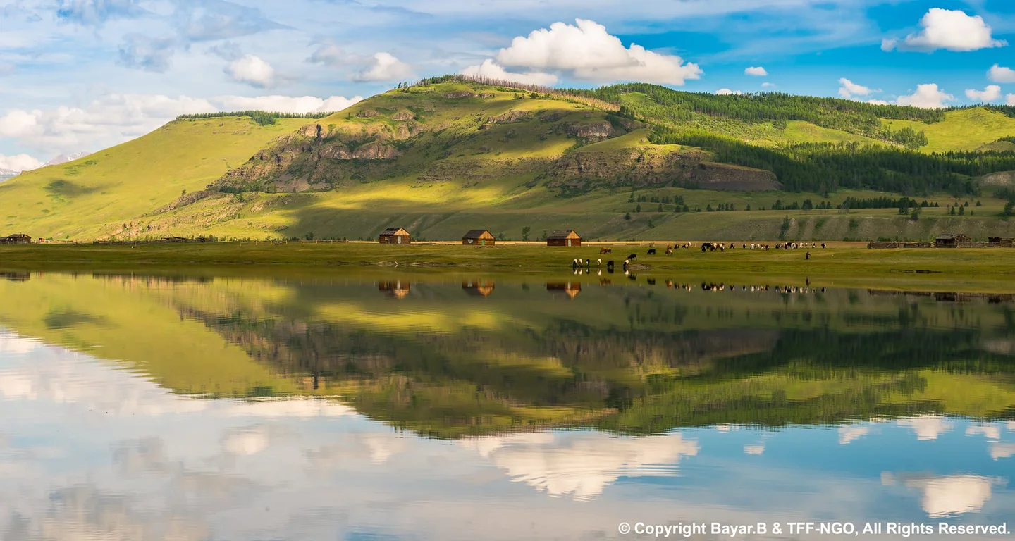Mongolian Horse Festival